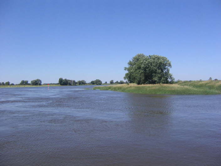 Elbe 2006 20